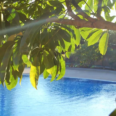 Sotavento Tejita, Terrace&beach *