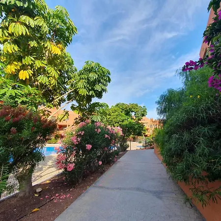 Sotavento Tejita, Terrace&beach