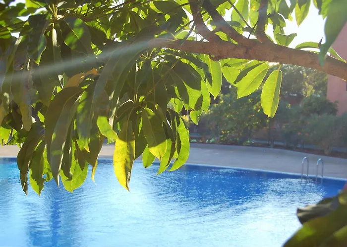 Sotavento Tejita, Terrace And *