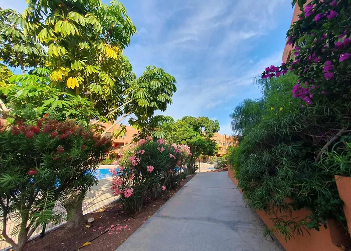 Sotavento Tejita, Terrace And